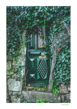 Green Wood Door