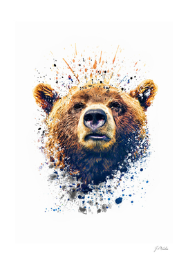 Bear face splatter