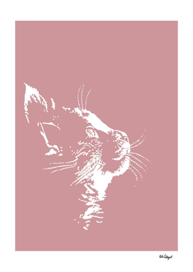 cat dreams (pink)