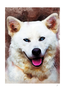 Akita Inu dog #dog #animals