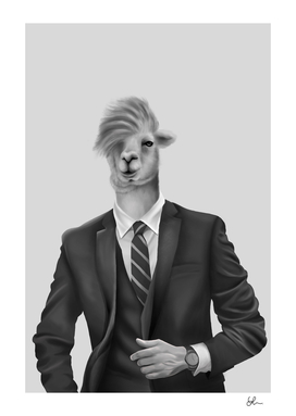 Alpaca in a suit