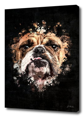 Bulldog Splatter Painting