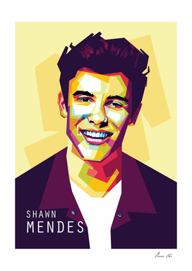 Shawn Mendes Awesome Pop Art