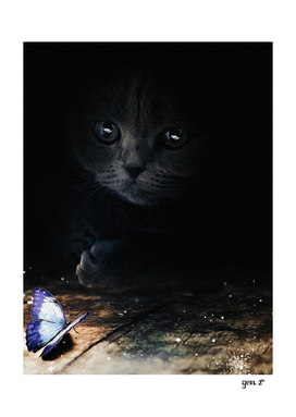 Cat looking at a blue butterfly by GEN Z