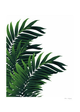 Palm Leaves Tropical Green Vibes #1 #tropical #decor #art