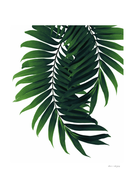 Palm Leaves Tropical Green Vibes #2 #tropical #decor #art