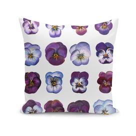 An illustration of Purple and Blue Violas