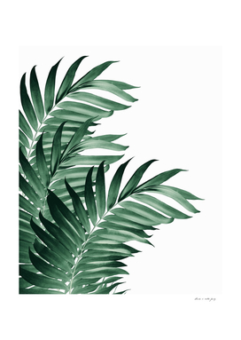 Palm Leaves Tropical Green Vibes #3 #tropical #decor #art