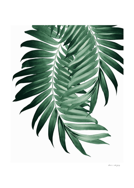 Palm Leaves Tropical Green Vibes #4 #tropical #decor #art