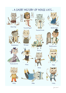 A short History of House Cats