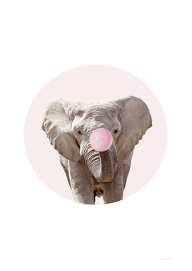 Elephant With Bubble Gum