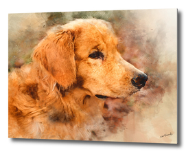 Brown Canine Dog