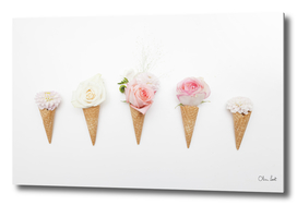 Ice-cream blossom