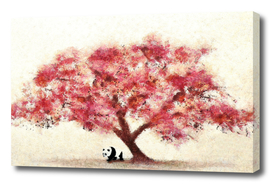 Cherry Blossom and Panda
