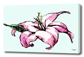 Pink Hibiscus Island Flower