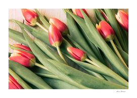 Spring bouquet of flowers of pink tulips on wooden