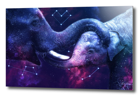 Galaxy Elephant Mother and Baby