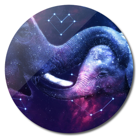 Galaxy Elephant Mother and Baby