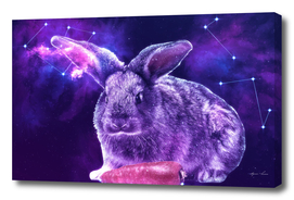 Galaxy Rabbit with Carrot