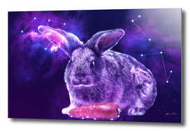 Galaxy Rabbit with Carrot
