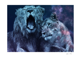 Galaxy Lion Colorful Couple