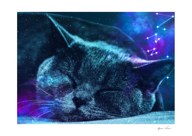 Sleepy Galaxy Giant Cat