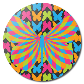 Butterfly Pattern 2