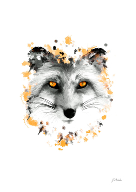 Fox with orange eyes