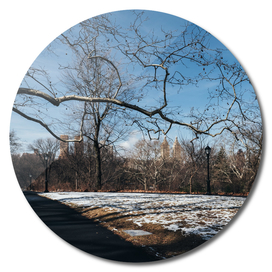 Rumsey Playfield of Central Park with snow in winter