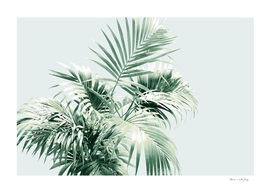 Palm Leaf Vibes #1 #tropical #decor #a