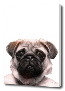 KEEP CALM pug print art pet dog animal puppy cute doggie