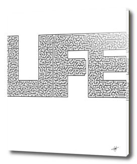 life maze uncertainty lost puzzle