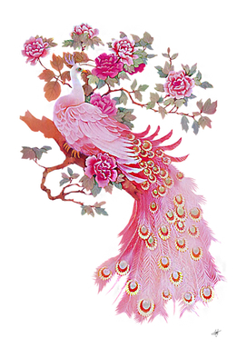 Bird Peafowl Feather Pink Paper