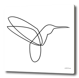 Colibri - one line art