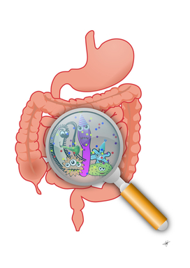 anatomy bacteria bacterium bowels