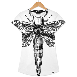 Dragonfly wings insect bug pattern