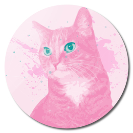 Pink Cat with Blue Eyes