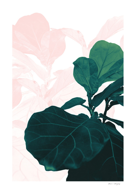 Blush Green Fiddle Leaf Dream #1 #tropical #decor #art