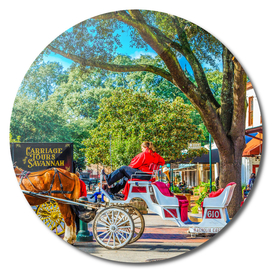 Carriage Tours Savannah-2