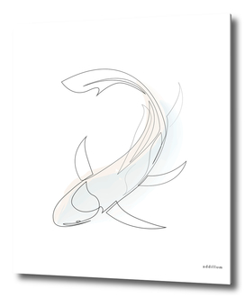 koi - one line fish art with colours