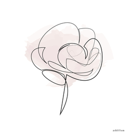 rose - one line art