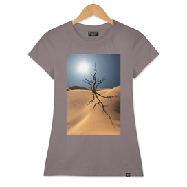 Dead tree  in desert