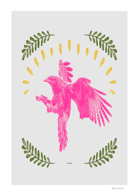 Pink Falcon