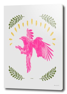 Pink Falcon