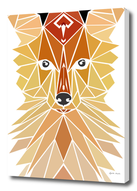 fox geometric