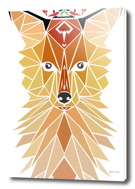 fox geometric
