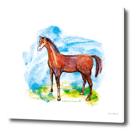 Horse colourfull illustration