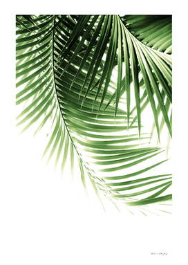 Palm Leaves Green Vibes #9 #tropical #decor #art