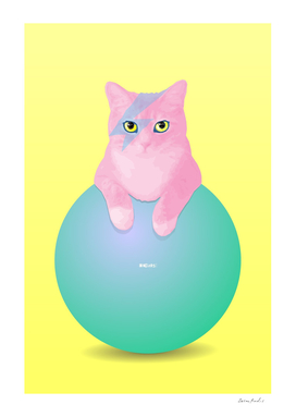 Cat on the Ball