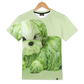cabbage dog